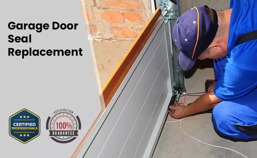 Garage Door Seal Replacement in Enterprise, NV
